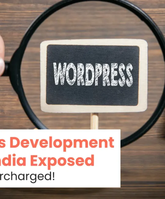 Check Out WordPress Website Development Cost in India