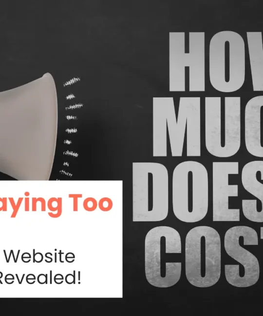E-Commerce Website Making Cost in India Exposed