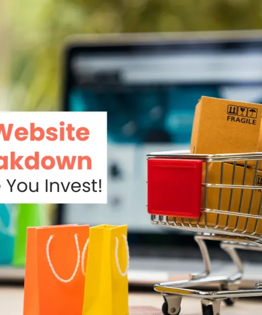 How Much Does Shopify Website Development Cost in India